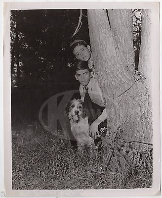 GINGER MOVIE CHILD ACTORS & SCREEN DOG VINTAGE MOVIE STILL PROMO PHOTO - K-townConsignments
