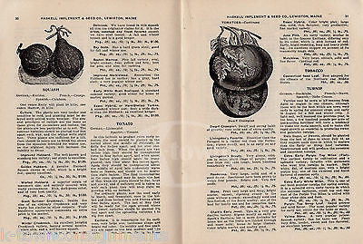HASKELL IMPLEMENT & SEED CO LEWISTON MAINE ANTIQUE FARM EQUIPMENT CATALOG 1916 - K-townConsignments