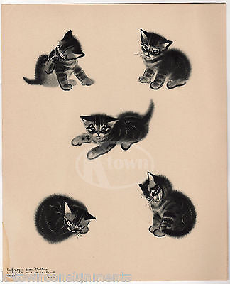 CUTE LITTLE KITTY CATS PLAYING VINTAGE POSTER PRINT BY CLARE TURLAY NEWBERRY - K-townConsignments