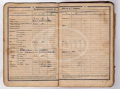 FRENCH 22nd DRAGOON REGIMENT SOLDIER ANTIQUE STAMPED MILITARY PASSPORT BOOK 1886 - K-townConsignments