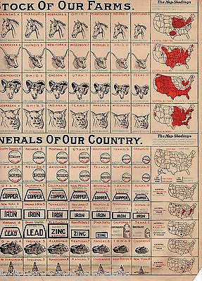 AMERICAN LIVESTOCK CATTLE OIL COAL GOLD MINERALS ANTIQUE GRAPHIC CHART POSTER - K-townConsignments
