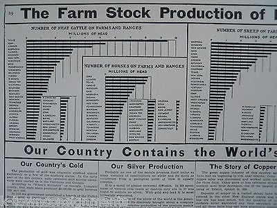 AMERICAN LIVESTOCK CATTLE OIL COAL GOLD MINERALS ANTIQUE GRAPHIC CHART POSTER - K-townConsignments