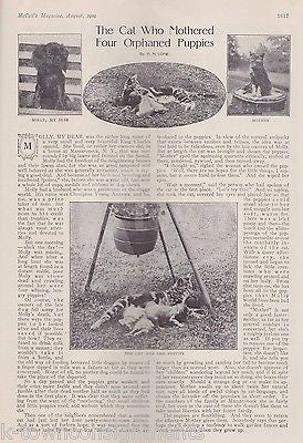 QUEEN OF FASHION WOMEN'S CLOTHING ANTIQUE GRAPHIC ILLUSTRATED NEWS MAGAZINE 1909 - K-townConsignments