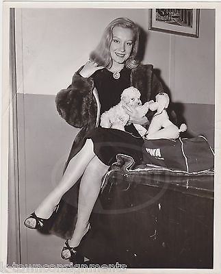TWA AIRLINES NY SOCIALITE W/ PUPPY DOG & TOY POODLE VINTAGE NEWS PRESS PHOTO - K-townConsignments
