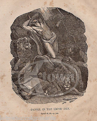 DANIEL 6:16 DANIEL IN THE LIONS DEN SAVED ANTIQUE BIBLE ENGRAVING PRINT 1846 - K-townConsignments