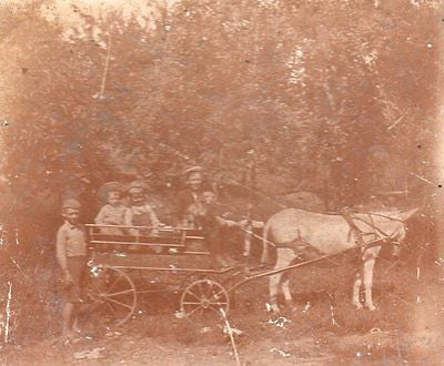 DARLING LITTLE BOYS & DOG IN A DONKEY FIRE PATROL WAGON ANTIQUE PHOTO ON BOARD - K-townConsignments