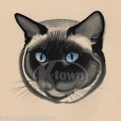 BABETTE CUTE BLUE EYED CAT FACE VINTAGE POSTER PRINT BY CLARE TURLAY NEWBERRY - K-townConsignments