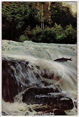 STORY OF SALMON BY ISABEL YOUNG ANTIQUE GRAPHIC ILLUSTRATED FISHING BOOK 1934 - K-townConsignments
