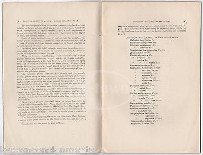 BROOKLYN INSTITUTE OF ARTS & SCIENCES MUSEUM LONGICORN COLLECTION CATALOG 1908 - K-townConsignments