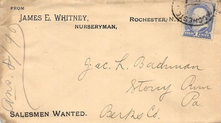 JAMES WHITNEY NURSERY ROCHESTER NEW YORK ANTIQUE ADVERTISING POSTAL MAIL COVER - K-townConsignments