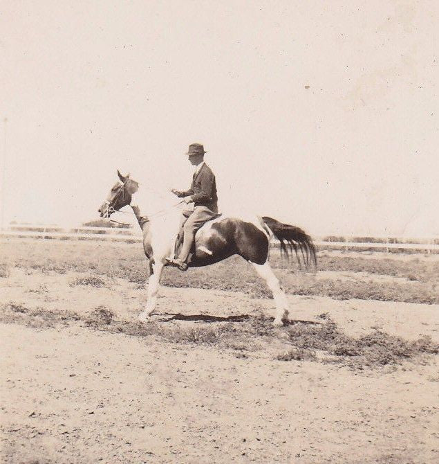 PROFESSIONAL SHOW HORSE EQUESTRIAN RIDER POSE FINE ANTIQUE SNAPSHOT PHOTOGRAPH - K-townConsignments