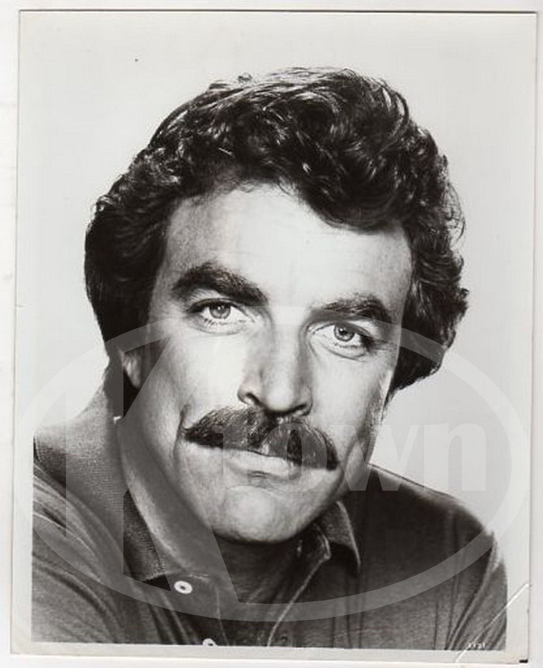 TOM SELLECK MAGNUN PI TV SHOW ACTOR VINTAGE STUDIO PROMO HEADSHOT PHOTO - K-townConsignments