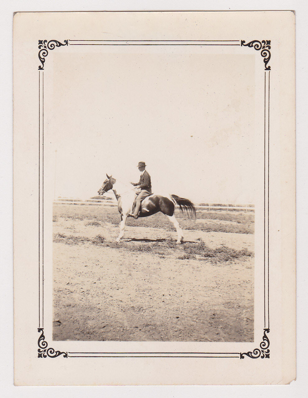PROFESSIONAL SHOW HORSE EQUESTRIAN RIDER POSE FINE ANTIQUE SNAPSHOT PHOTOGRAPH - K-townConsignments