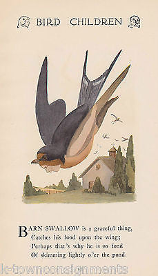 LAUGHING GULL & BARN SWALLOW BIRD CHILDREN ANTIQUE GRAPHIC ILLUST. POETRY PRINT - K-townConsignments