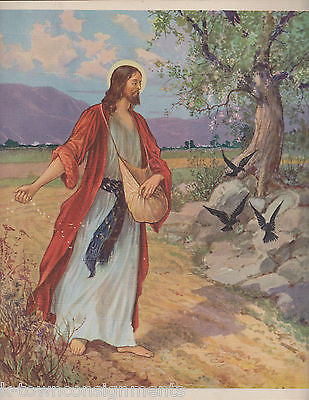 STORIES JESUS TOLD BIBLE HEROES HEROINES ILLUSTRATED VINTAGE PARABLES BOOK 1941 - K-townConsignments