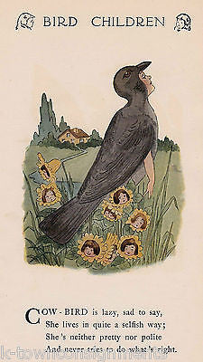 GREEN JAY & COW BIRD CHILDREN ANTIQUE GRAPHIC ILLUSTRATION POETRY PRINT - K-townConsignments