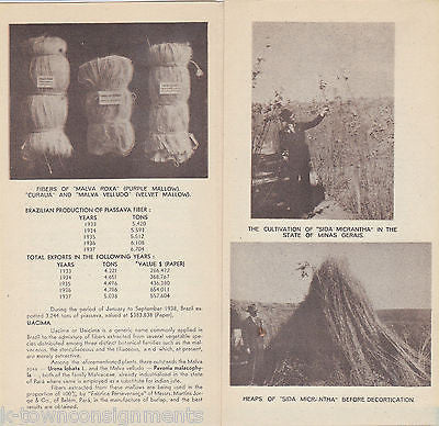 BRAZILIAN FIBERS FARMING VINTAGE GRAPHIC ADVERTISING FLYER WORLDS FAIR - K-townConsignments