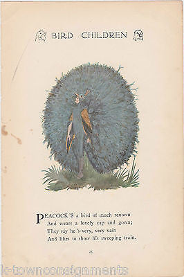 PEACOCK & NIGHTINGALE VINTAGE BIRD CHILDREN GRAPHIC ILLUSTRATION POETRY PRINT - K-townConsignments