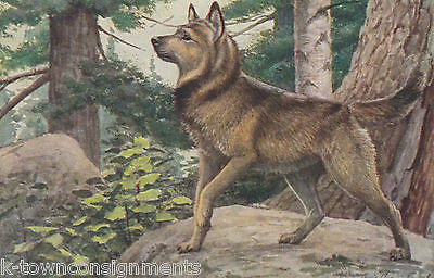 Norwegian Elkhound & Otterhound Vintage Louis Agassiz Graphic Dog Art Print - K-townConsignments