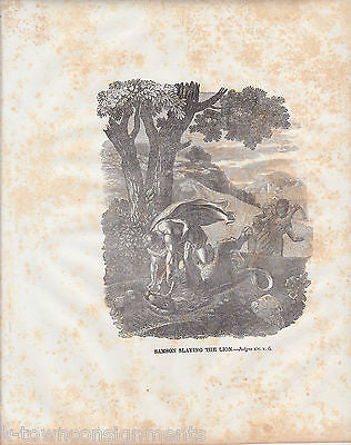 SAMSON SLAYING THE LION ANTIQUE RELIGIOUS BIBLE ENGRAVING PRINT - K-townConsignments