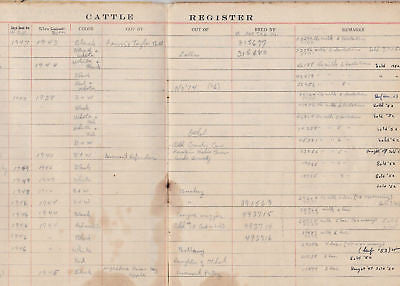 DANA CATTLE REGISTER VERMONT COW SALES RECORD BOOK - K-townConsignments