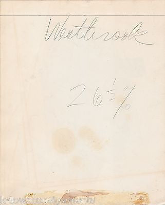 LILLY DACHE MODEL NANCY WESTBROOK VINTAGE VEILED HAT SIDE GLANCE FASHION PHOTO - K-townConsignments