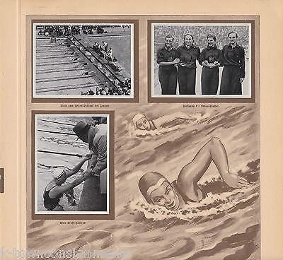 SWIM TEAM 100M EVENT OLYMPICS 1936 PHOTO CARDS POSTER PRINT - K-townConsignments