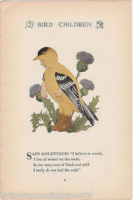 GOLDFINCH & ROBIN VINTAGE BIRD CHILDREN M. T. ROSS GRAPHIC ILLUSTRATION PRINT - K-townConsignments