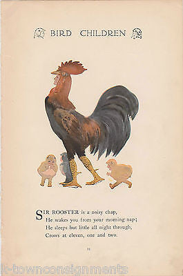 SIR ROOSTER & Mrs. HEN BIRD CHILDREN ANTIQUE GRAPHIC ILLUSTRATION POETRY PRINT - K-townConsignments