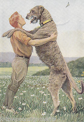 Irish Wolfhound Russian Wolfhound Dog Vintage Louis Agassiz K9 Graphic Art Print - K-townConsignments