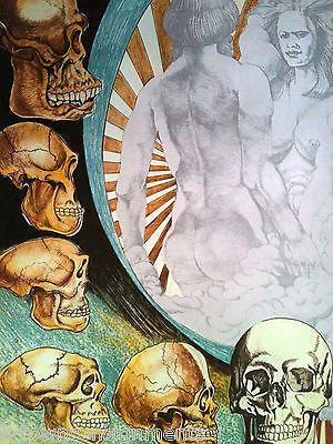 Adam & Eve Evolution Cro-Magnon Man Skulls Vintage Graphic Art Poster Print - K-townConsignments