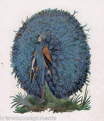 PEACOCK & NIGHTINGALE VINTAGE BIRD CHILDREN GRAPHIC ILLUSTRATION POETRY PRINT - K-townConsignments