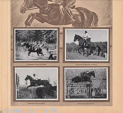 HERMANN OPPELN GERMAN EQUESTRIAN OLYMPICS 1936 PHOTO CARDS POSTER PRINT - K-townConsignments