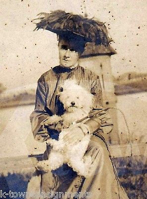 WHITE POODLE DOG & VICTORIAN LADY POSING ANTIQUE OUTDOOR PHOTOGRAPH ON BOARD - K-townConsignments