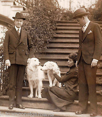 Coolidge Presidential Dogs Rob Roy & Prudence Vintage 1920s News Press Photo - K-townConsignments
