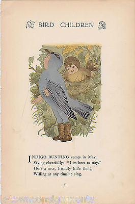 EAGLE MAN & INDIGO BUNTING VINTAGE KIDS ILLUSTRATION PRINT FROM BIRD CHILDREN - K-townConsignments