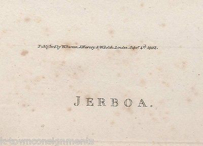 JERBOA DESERT MOUSE EARLY ZOOLOGY ANIMALS ANTIQUE GRAPHIC ART ENGRAVING PRINT - K-townConsignments