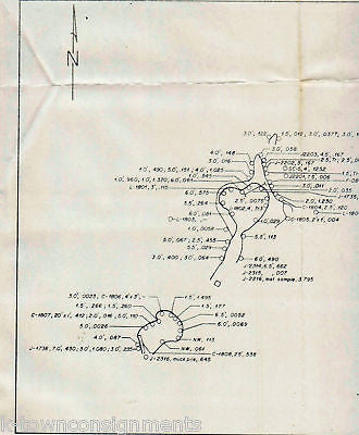 PEGASUS GOLD CORP SUITCASE MINE GLORY HOLE AREA MAP - K-townConsignments