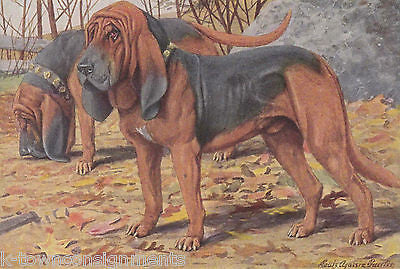 Bloodhounds & Beagle Basset Vintage Louis Agassiz Graphic Dog Art Print - K-townConsignments