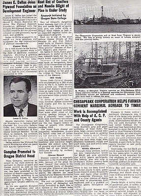 TIMBER TOPICS VINTAGE TREE LOGGING GRAPHIC NEWS FLYER - K-townConsignments