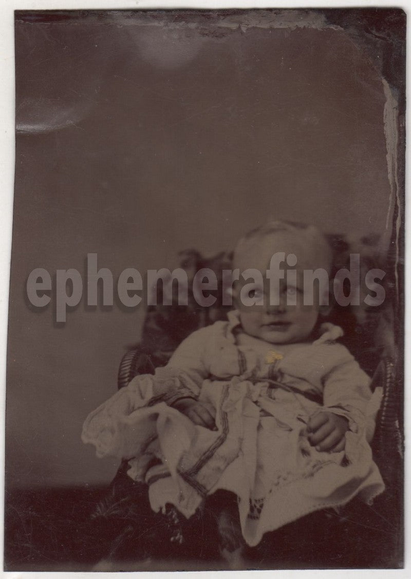 Cutest Little Doe-eyed Baby in Homespun Dress Crisp Antique Tintype Photo