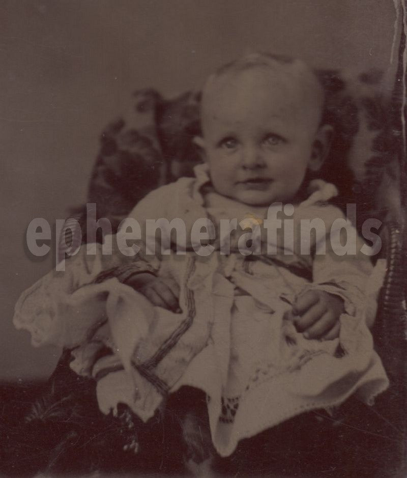 Cutest Little Doe-eyed Baby in Homespun Dress Crisp Antique Tintype Photo