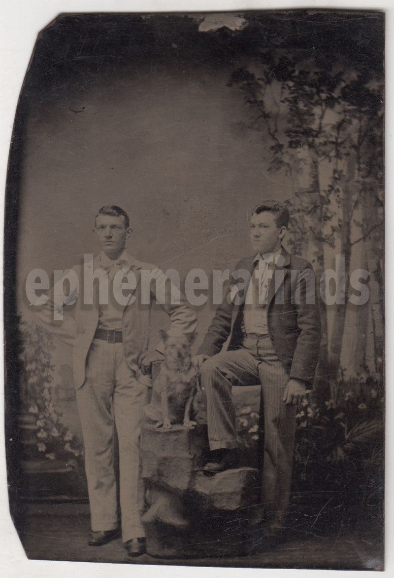 Dapper Gentlemen and Their Dog Friend Great Antique Tintype Photo