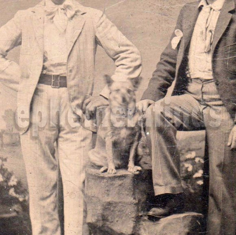 Dapper Gentlemen and Their Dog Friend Great Antique Tintype Photo