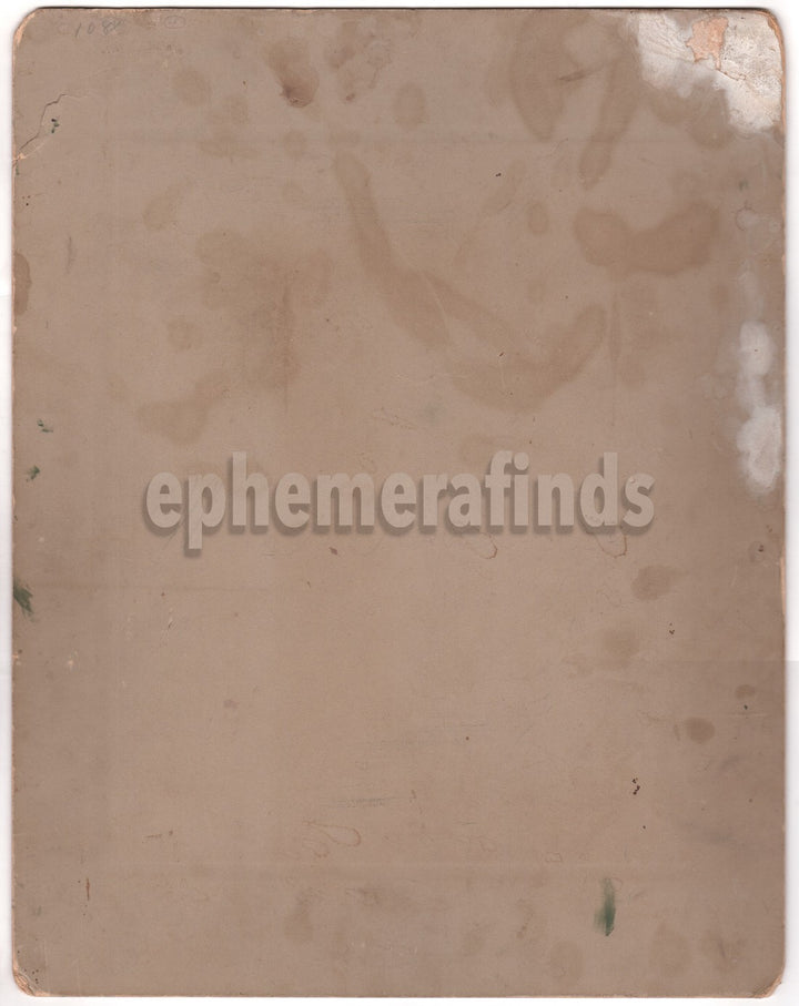 Mackinac Island Sugar Loaf Rock Michigan Large Antique Photo on Board