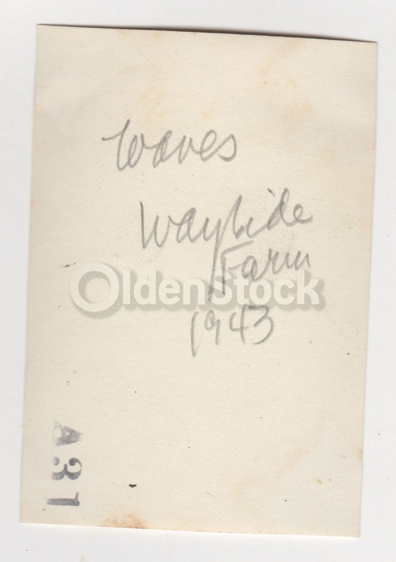 WWII Waves Military Women in Uniform Wayside Farm Vintage Snapshot Photo