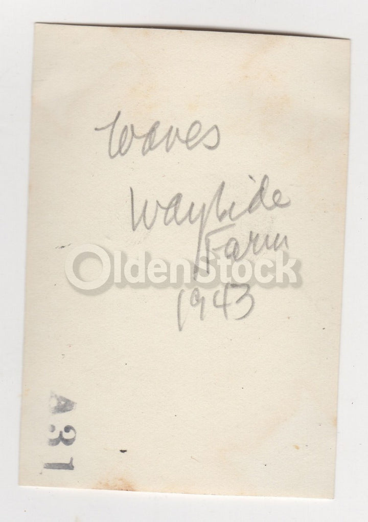 WWII Waves Military Women in Uniform Wayside Farm Vintage Snapshot Photo