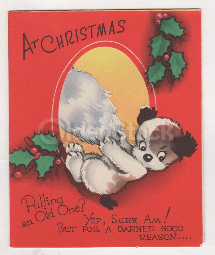 Cute Puppy Dog and Santa Claus Beard Vintage Christmas Greeting Card