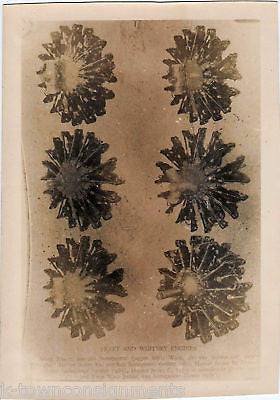 PLANE ENGINE DESIGN DIAGRAM VINTAGE SNAPSHOT PHOTOS - K-townConsignments