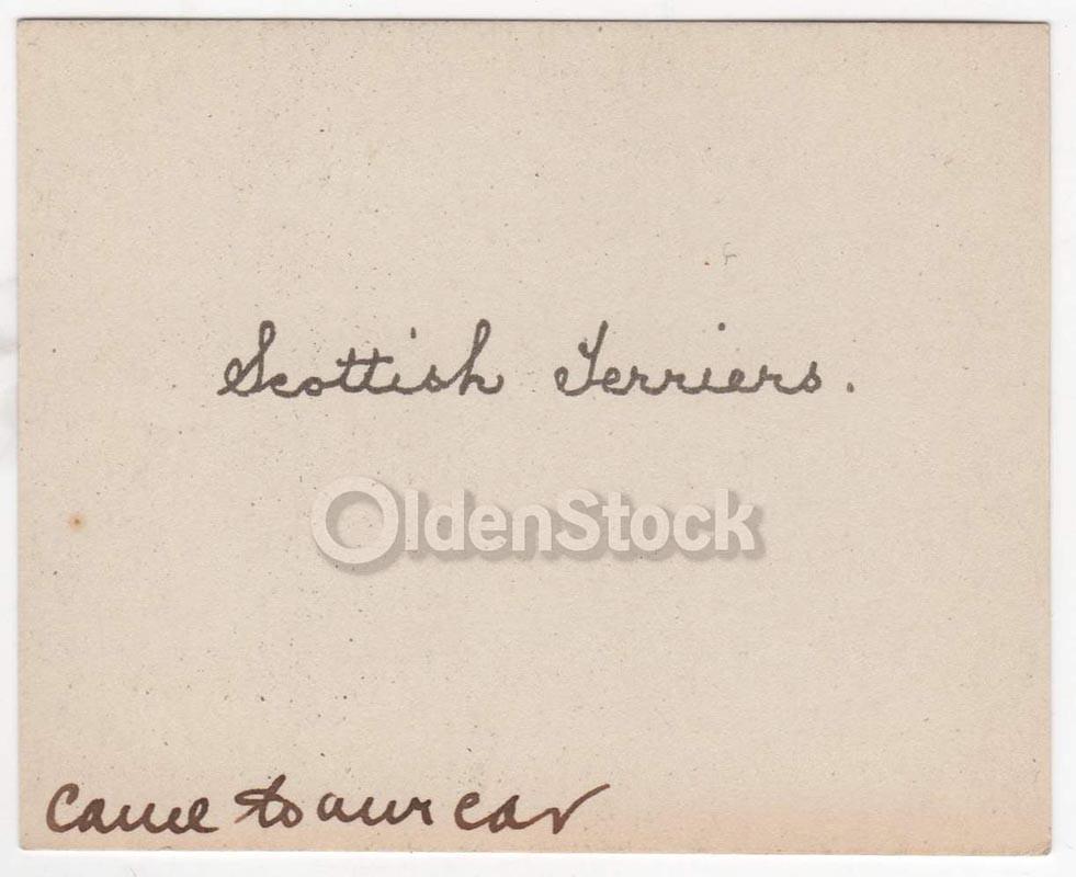 Black & White Scotty Dogs on the Rocks Vintage Americana Snapshot Photo